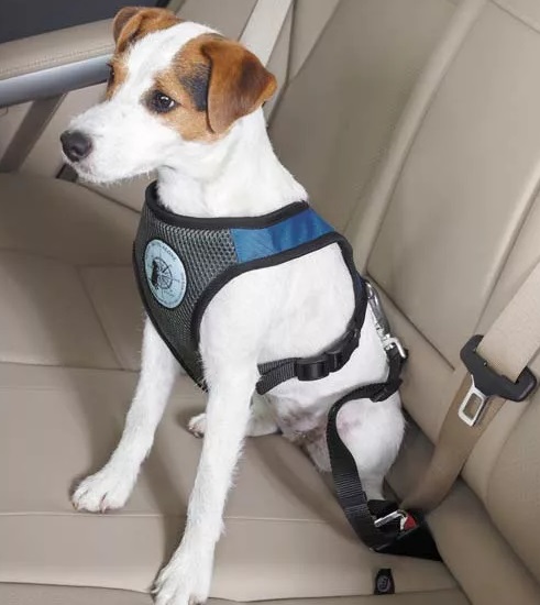 Ремень безопасности с защелкой "TRIXIE" для собак,  автомобильный,  45-70см/25 мм, нейлон,черный.
